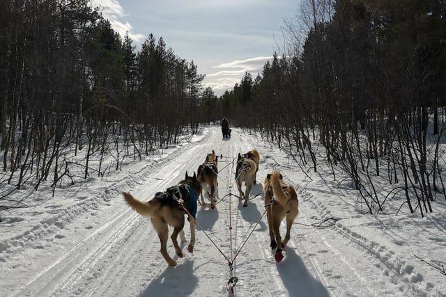 Michaela Proctor, East Grinstead, raised more £900 for children’s charity Action Medical Research by completing the Husky Sled Trail in Sweden