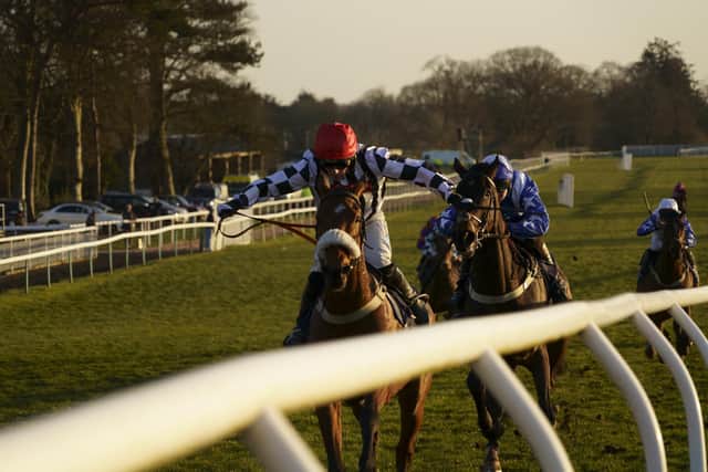 They race at Fontwell Park on Friday afternoon / Picture: Clive Bennett