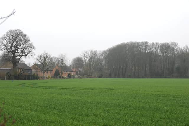 Fields between Chichester and Lavant