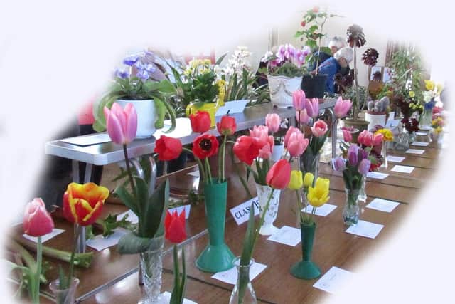 Flower displays at the East Preston and Kingston Horticultural Society spring show
