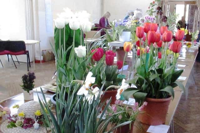 Towering tulips and other spring flowers at the East Preston and Kingston Horticultural Society spring show