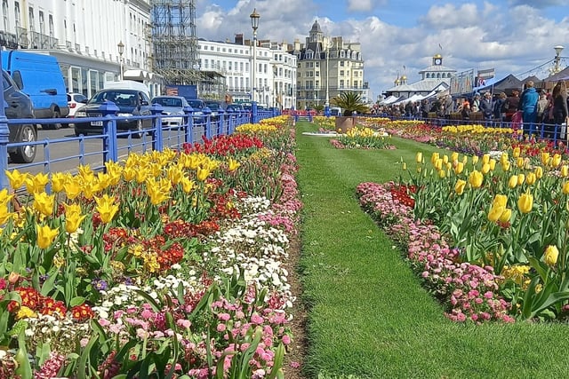 Carol Parks took this bright and colourful shot of the Carpet Gardens on April 9 with a Samsung Galaxy. SUS-220413-102540001