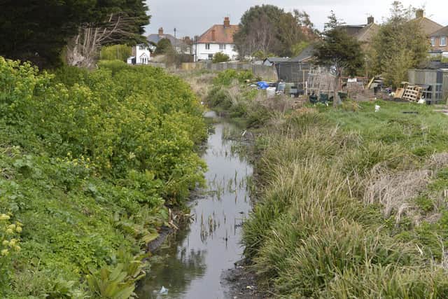 Horsey Sewer in Eastbourne (Photo by Jon Rigby) SUS-220413-194852008