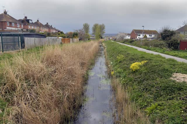 Horsey Sewer in Eastbourne (Photo by Jon Rigby) SUS-220413-194918008