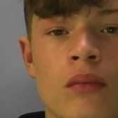 Police said there are 'growing concerns' for missing Arthur Greenslade, 16. Picture: Brighton and Hove police.