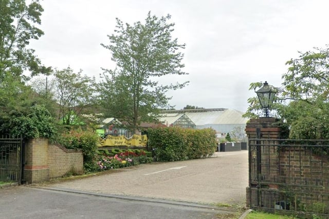 Camelia Botnar Garden Centre is in Littleworth Lane, Horsham, and has 4.4 stars from 498 Google reviews. One reviewer said: "Lovely place, fabulous toasties and hot chocolate, such helpful staff." Picture: Google Street View.