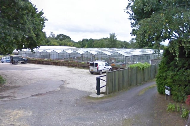 Village Nurseries is in Sinnocks, West Chiltington, and has a 4.7 rating from 54 Google reviews. One satisfied customer said it had 'a good selection of many plants and trees and shrubs' while another said it was 'so well organised in terms of Covid security'. Picture: Google Street View.