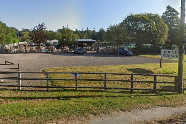 Bolney Nursery is on Cowfold Road in Bolney, Haywards Heath. It has a rating of 4.7 from 117 Google reviews. One reviewer called it 'a great place with a big variety of products and very friendly and knowledgeable staff'. Picture: Google Street View.