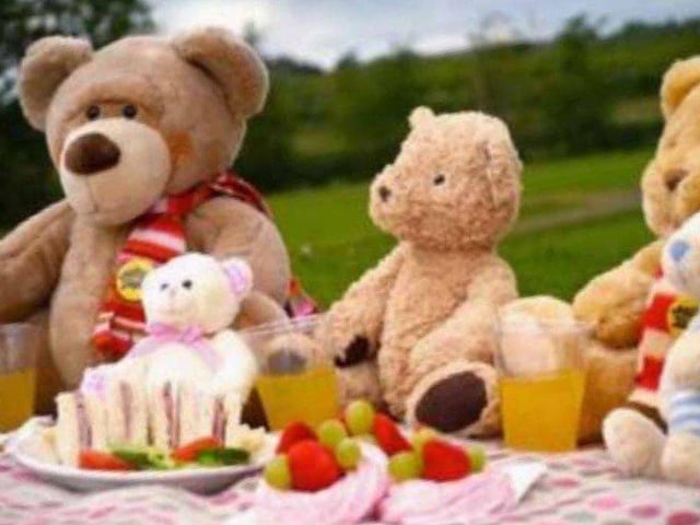 There will be a royal teddy bears' picnic at St Mary's Church Hall and gardens from 2.30pm to 4pm. Guests are invited to take a picnic and dress their teddies in regal clothes, drinks provided.