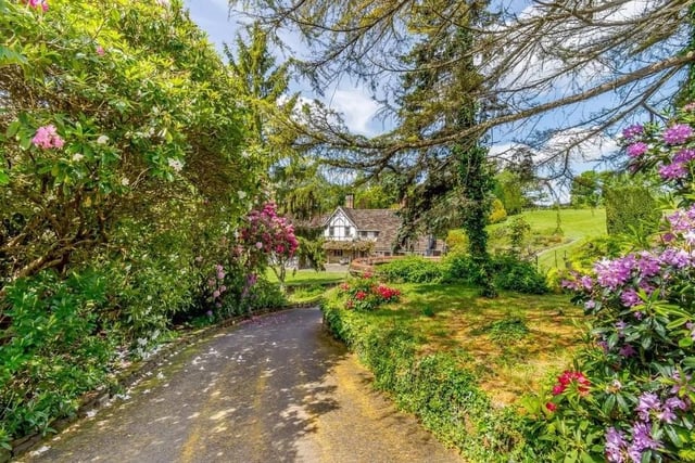 The driveway is bordered by lawn, post and rail fencing, as well as rhododendron bushes. Picture: Strutt & Parker - Horsham.