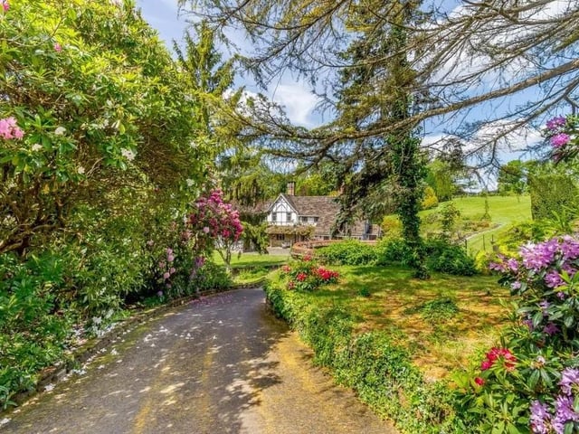 The driveway is bordered by lawn, post and rail fencing, as well as rhododendron bushes. Picture: Strutt & Parker - Horsham.