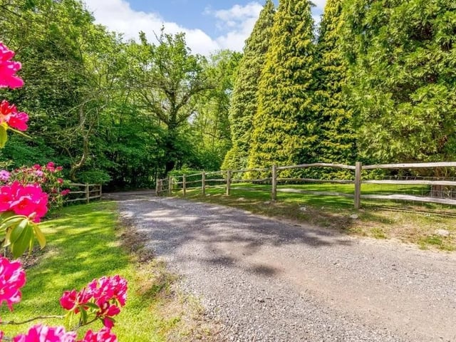 The driveway sweeps up to the front of the house. Picture: Strutt & Parker - Horsham.