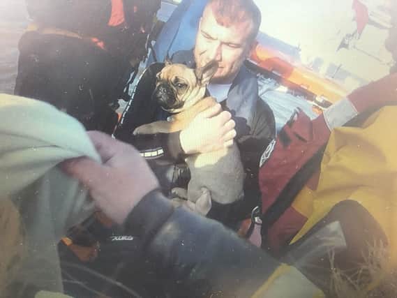 One of the dogs aboard the stricken vessel being carried to safety. Picture from Great Yarmouth and Gorleston RNLI SUS-220425-153006001