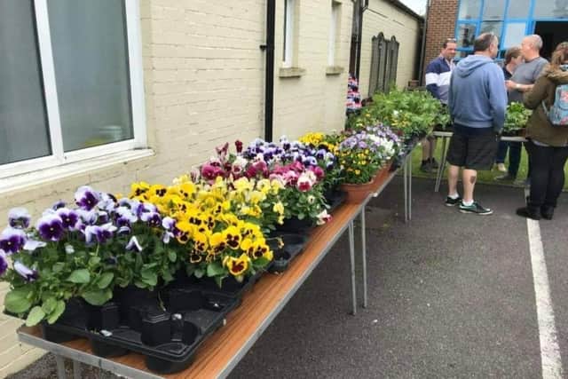 The infamous plant sale will be back for the Littlehampton Bonfire Society's May Fayre