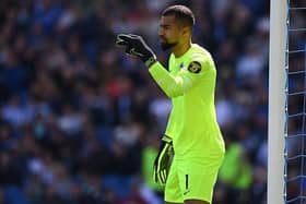 Brighton goalkeeper Robert Sanchez was beaten twice by James Ward-Prowse as Albion drew 2-2 with Southampton at the Amex Stadium