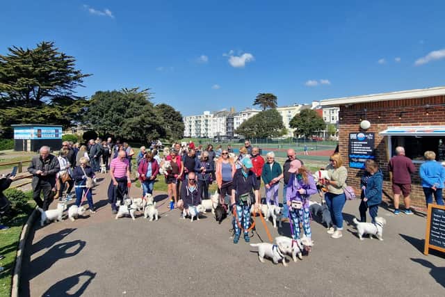 Around 40 Westie owners from as far as Oxford, Southampton, Bluewater, Ashford, Hove and London came to Littlehampton to join the walk along the shore at low tide