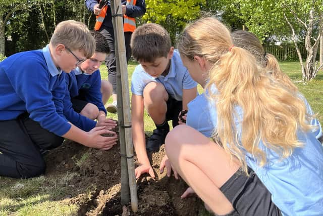 Planting trees at Buckingham Park Primary School in Shoreham
