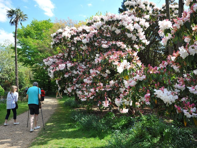 Nyman's Gardens at Handcross. Pic S Robards SR2204261 SUS-220426-173706001