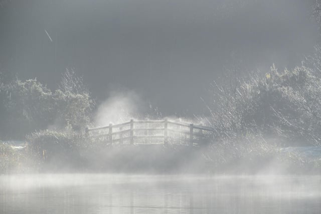 Atmospheric bridge at Tilgate Park in the early morning fog