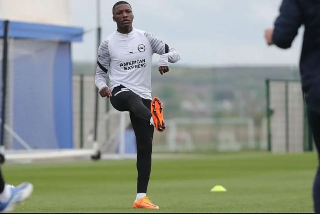 Moises Caicedo has made an impressive start to his Brighton and Hove Albion career