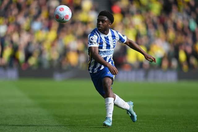 Brighton wing back Tariq Lamptey missed last week's Premier League draw against Southampton with a knee problem