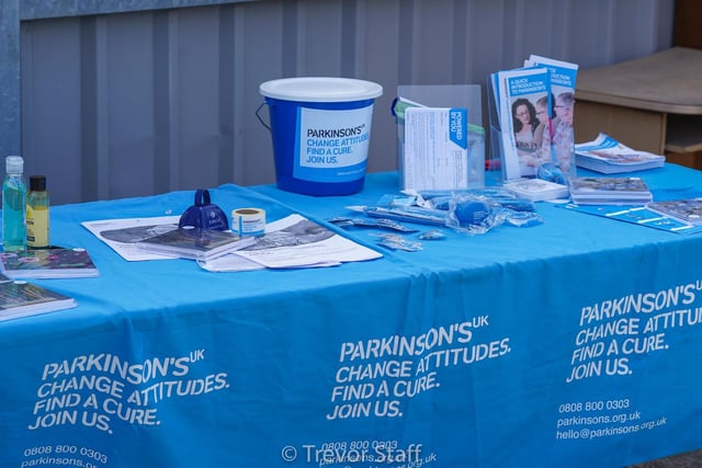 Chichester City hosted the Rocks at sunny Oaklands Park to raise money for Parkinson's UK / Pictures: Lyn Phillips and Trevor Staff