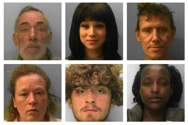 Some of the criminals locked up in Sussex in April. Pictures courtesy of Sussex Police