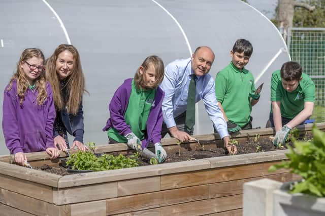 Arundel and South Downs MP Andrew Griffith with LVS Hassocks principal Jen Weeks and pupils planting sunflowers. Picture: Liz Finlayson/Vervate.
