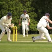 Pagham and Horsham - here in T20 Cup action - are two of the many sides in the Sussex Cricket League who will benefit from 1st Central's extended sponsorship deal / Picture: Martin Denyer