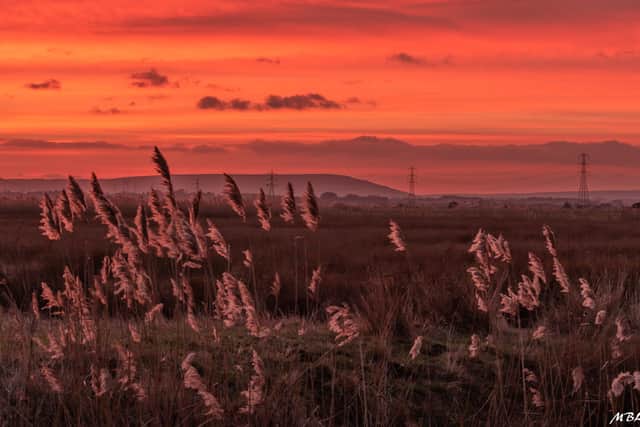 Red sky at night, shepherd's delight... Marcus Berrisford took this wonderful sunset over Pevensey Levels on Wednesday January 9. SUS-191001-091256001