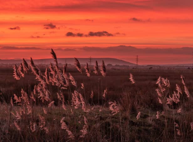 Red sky at night, shepherd's delight... Marcus Berrisford took this wonderful sunset over Pevensey Levels on Wednesday January 9. SUS-191001-091256001
