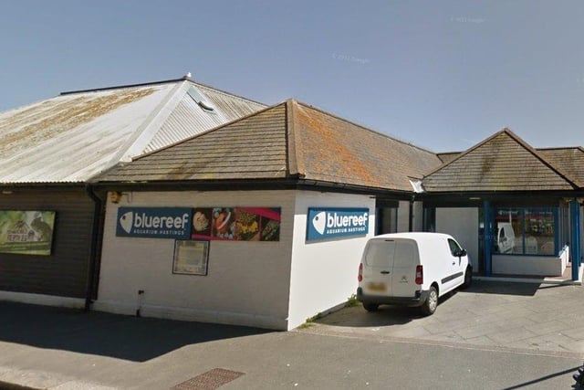 Blue Reef Cafe - Blue Reef Aquarium, Rock-a Nore Road TN34 3DW - Rated as 5 - Inspected on 20/01/2022 SUS-220605-112206001