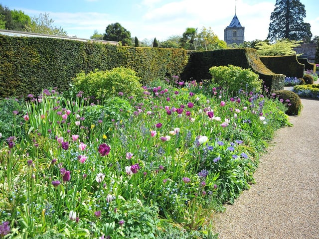 Arundel Tulip Festival