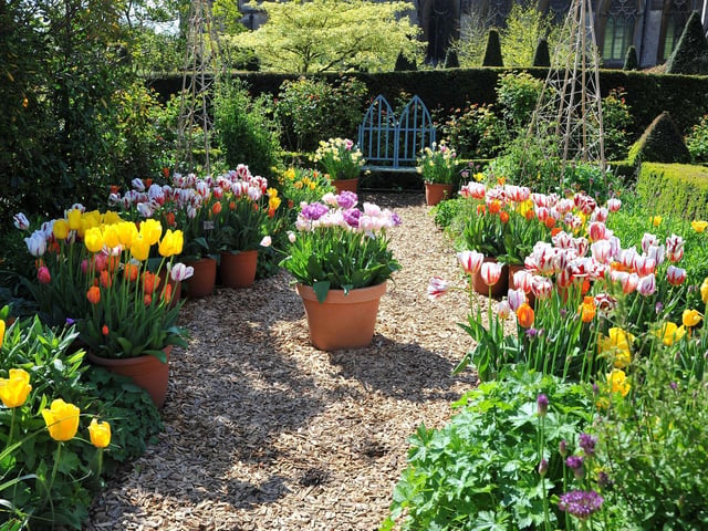 Arundel Tulip Festival