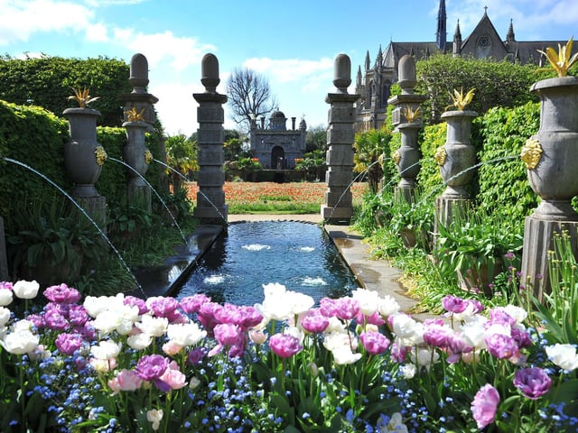 Arundel Tulip Festival