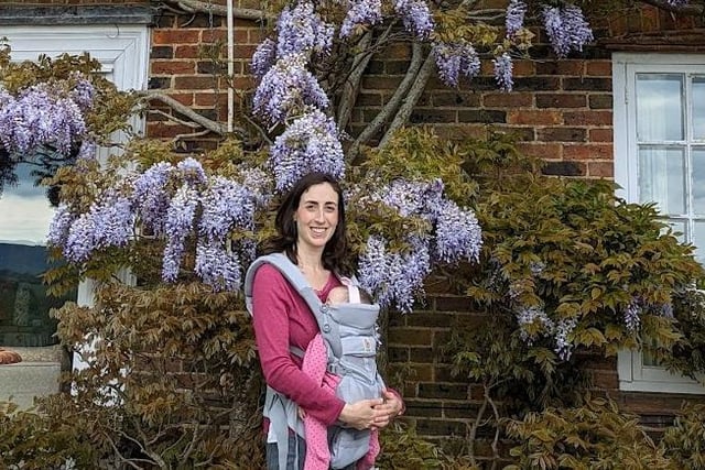 Wisteria in flower at the Fittleworth garden trail