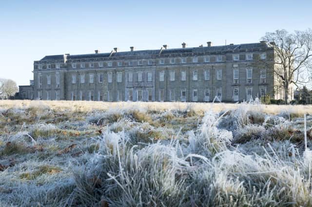 Frost in Petworth Park @National Trust Images_ John Miller