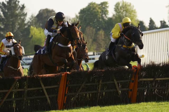 Over they go at Fontwell / Picture: Clive Bennett