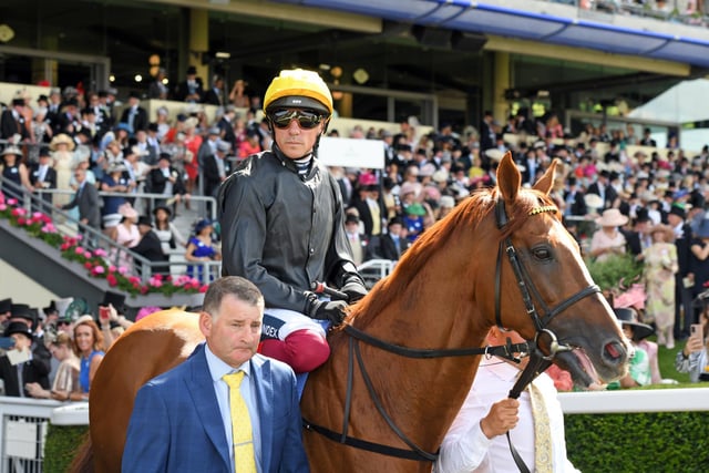 Stradivarius was third in the 2022 Ascot Gold Cup / Pictures: Malcolm Wells