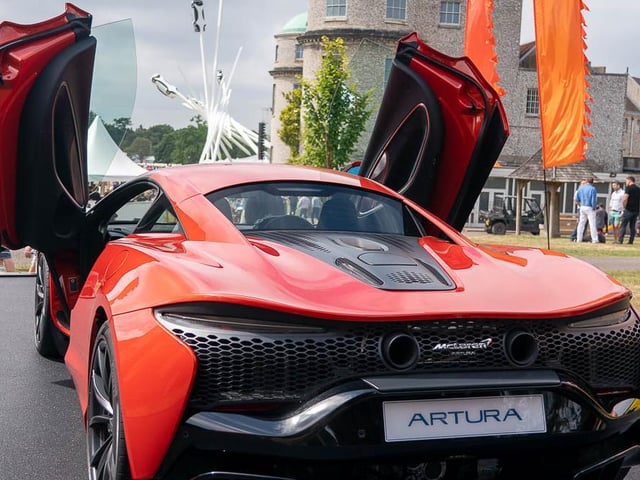 Scenes from the second day of the 2022 Goodwood Festival of Speed / Pictures: Lyn Phillips and Trevor Staff