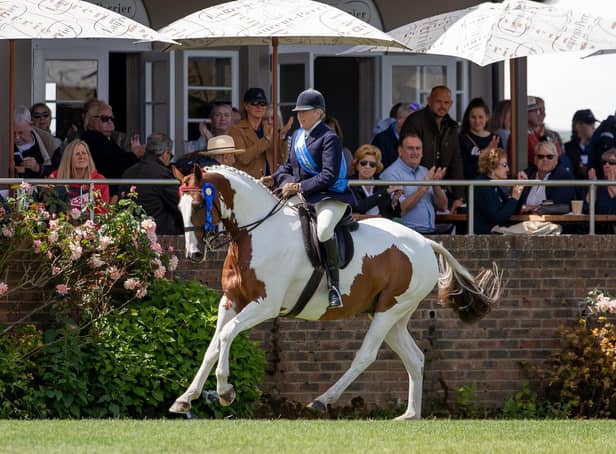 Katie Jerram-Hunnable rode a winner for Her Majesty The Queen at the All England Jumping Course at Hickstead / Photo: Elli Birch/Boots and Hooves Photography