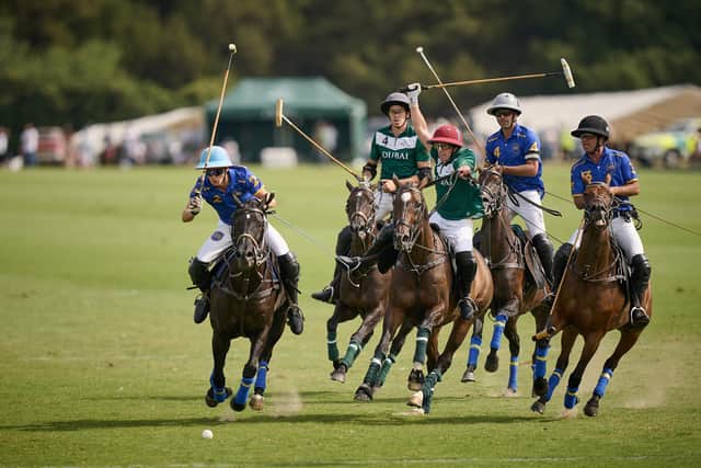 Action from a thrilling Gold Cup final enjoyed by a large crowd at Cowdray Park / Picture: Mark Beaumont