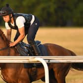 Stradivarius on the Newmarket gallops this morning | Picture: Doug Peters/PA Wire