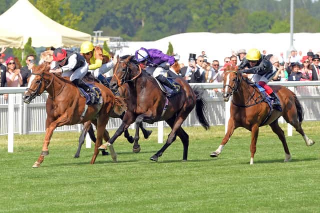 Kyprios beat Stradivarius in the Ascot Gold Cup / Picture: Malcolm Wells