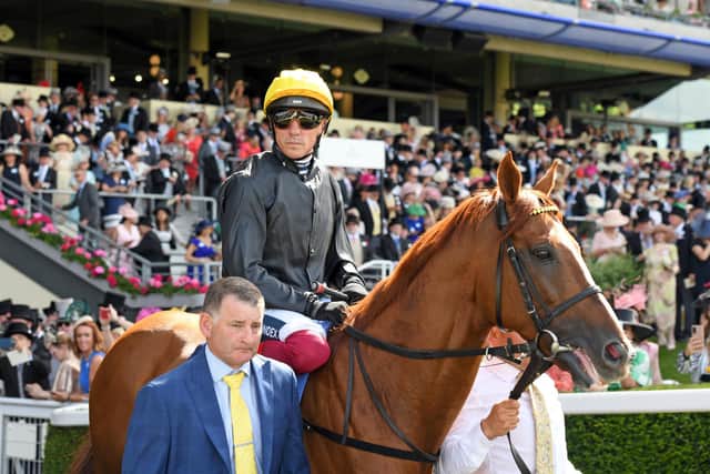 Stradivarius at Royal Ascot with Frankie Dettori on board - the horse, with a different jockey, reappears at Goodwood on Tuesday / Picture: Malcolm Wells