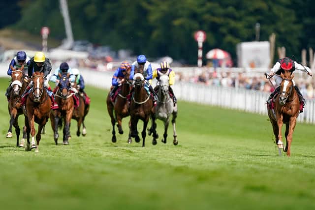 Stradivarius (far left of picture) was edged out by Kyprios (far right) / Picture: Alan Crowhurst, Getty