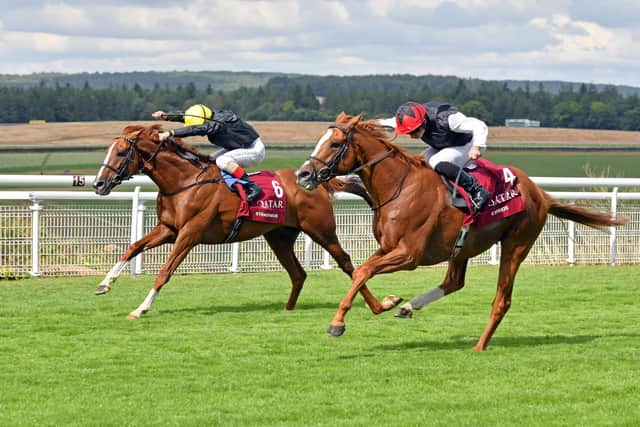 Stradivarius, far side, can't quite get up to beat Kyprios / Picture: Malcolm Wells
