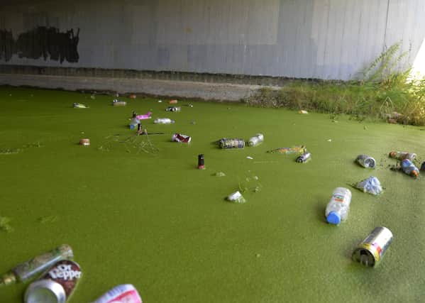 Litter dumped in Shinewater Lake area in Eastbourne (Photo by Jon Rigby) SUS-180208-101934008