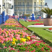 Carpet Gardens in Eastbourne 31/3/21 SUS-210331-153750001