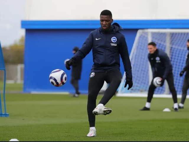 Moises Caicedo has impressed the Brighton management team since his arrival from Ecuador last January